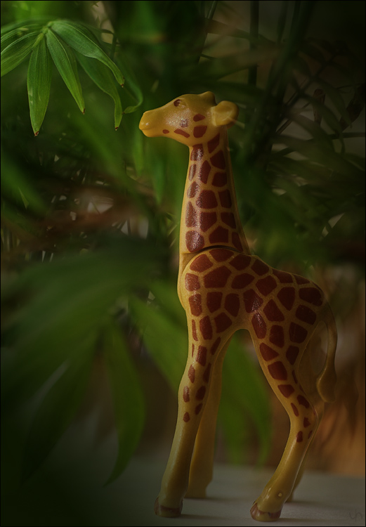 Giraffe Games