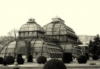 Das Schönbrunner Palmenhaus