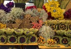 Markt: Blumen