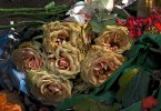 Dying Roses