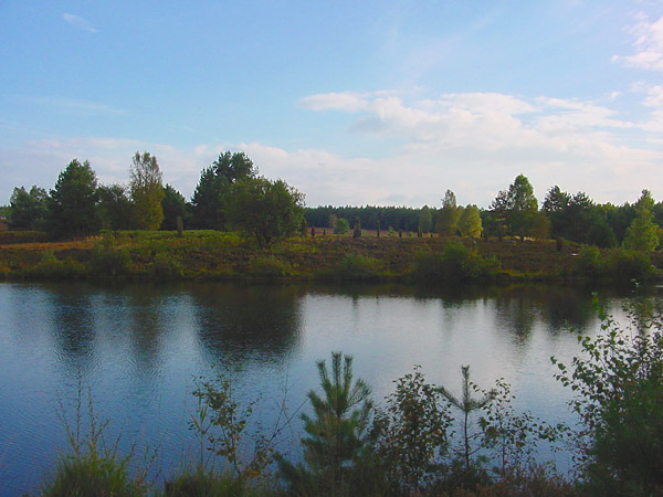 Lüneburger Heide