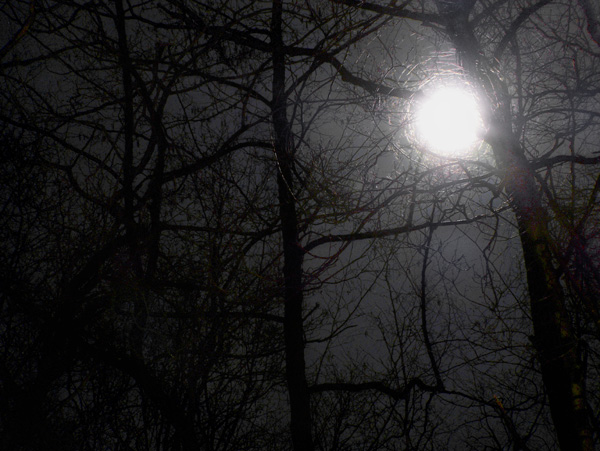 Moonlight
