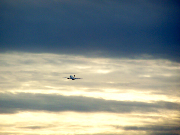 Up into the Sky