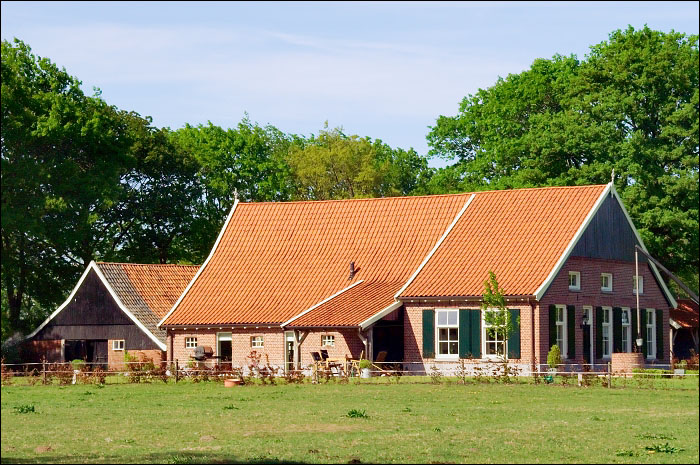 Dutch House