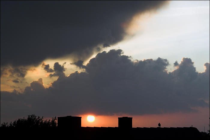 After the Rain