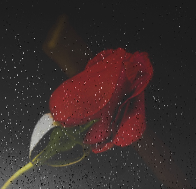 Summer's in the Heart
