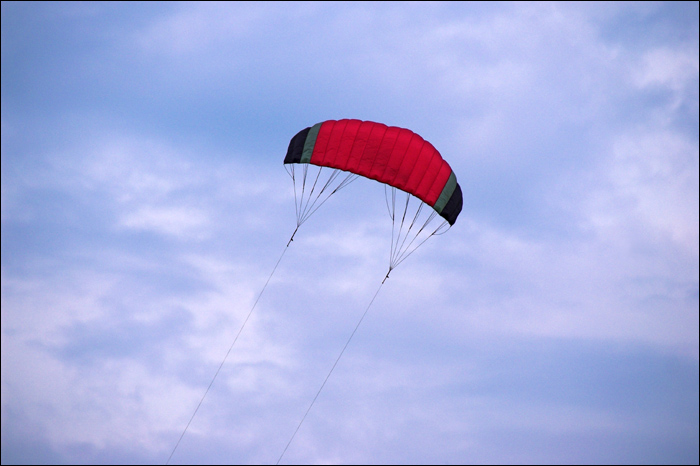 Kite at Rhine