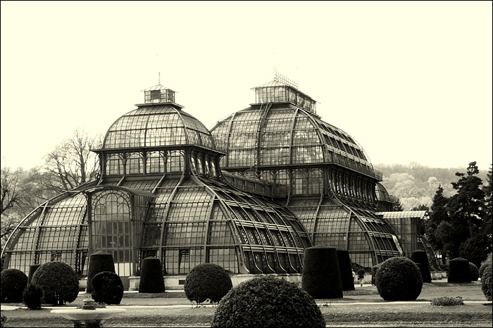 Schönbrunn Palm House