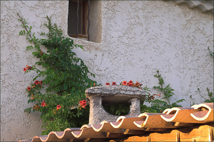 French Roof