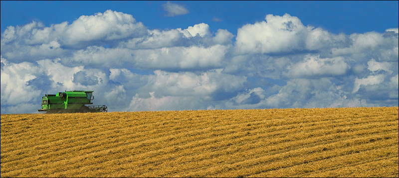 Go Rural