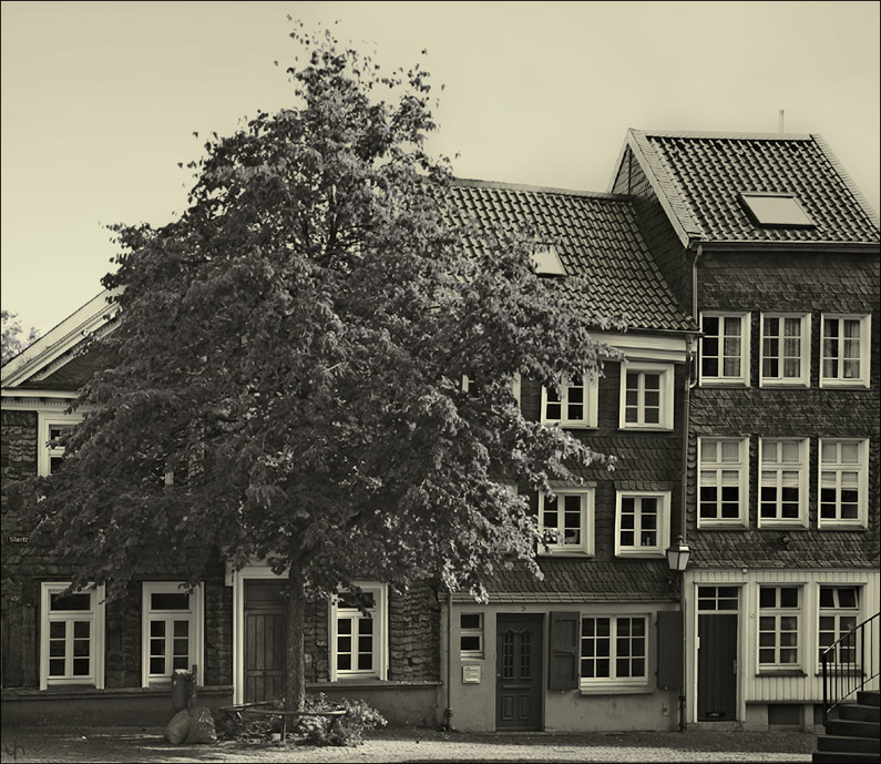 Rhineland Coulisse