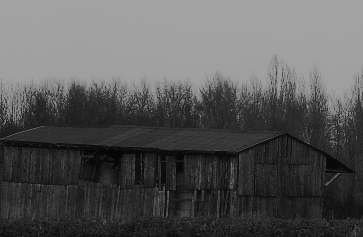 Old Barn