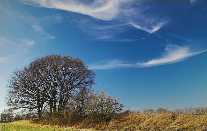 Beautiful Sky