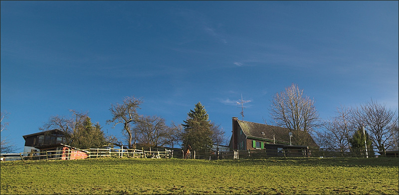 Sunny Hill