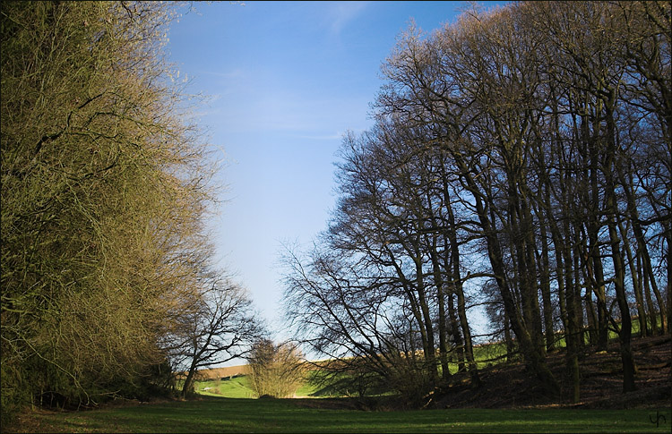 Blue and Green