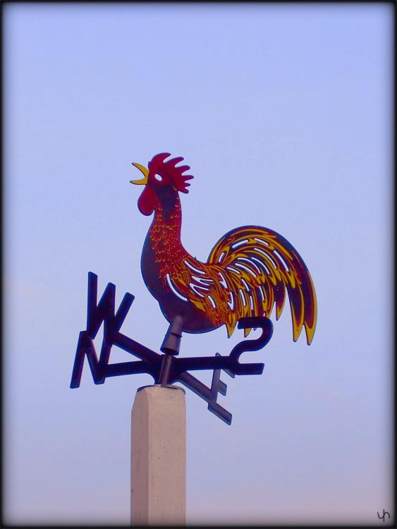 Weathercock