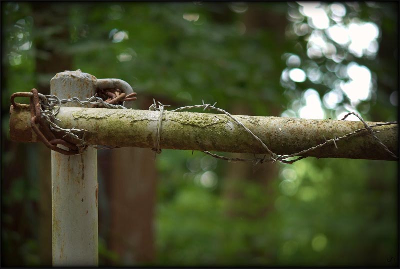 Fence #1