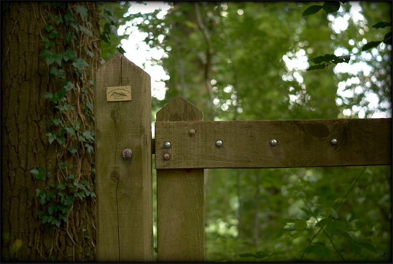 Fence #2