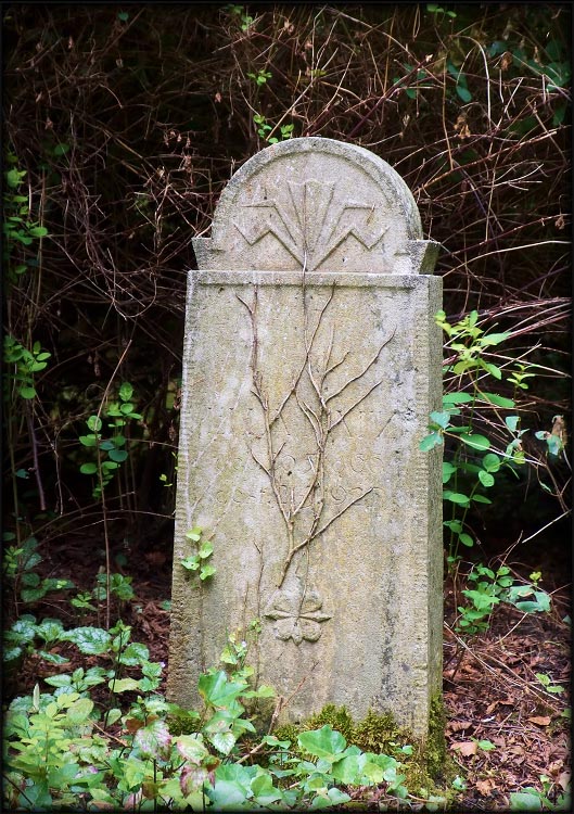 Living Stone