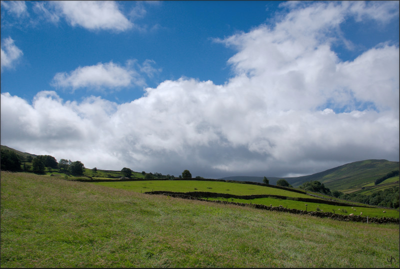 Yorkshire Dales 6
