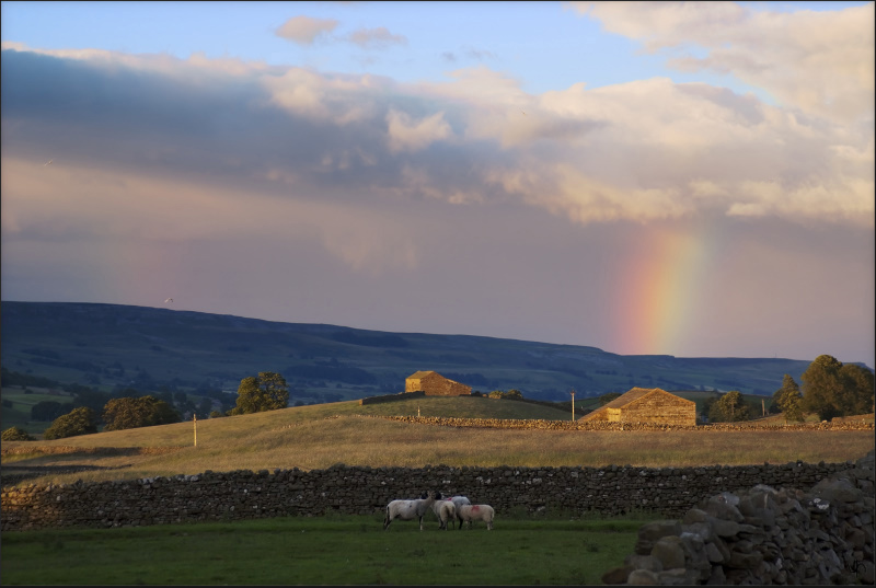 Rainbow