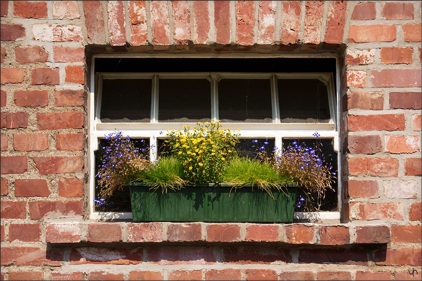 Window Sill