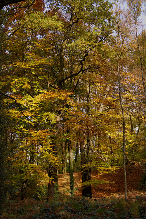 Indian Summer in Ratingen 2