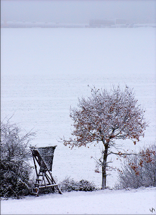Snowy morning