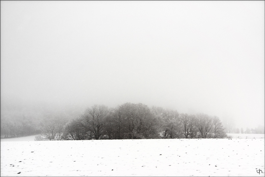 Winter Impression