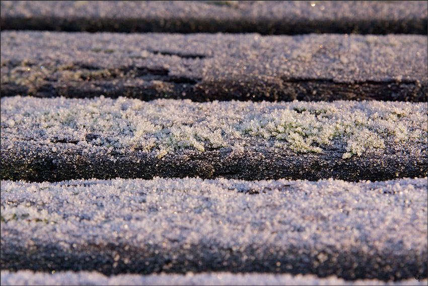 It's Cold Outside 1