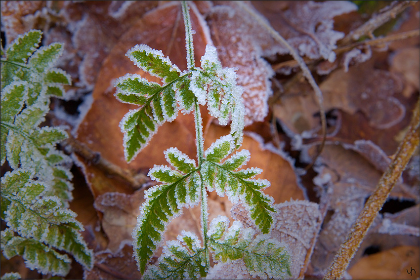 It's Cold Outside 2