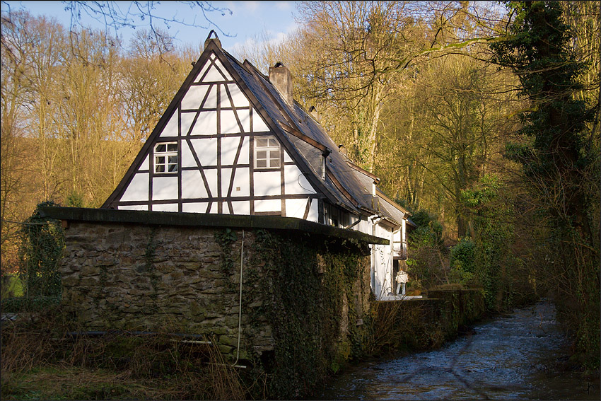 Timber Frame House