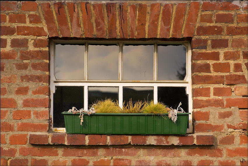 Window Sill in Winter