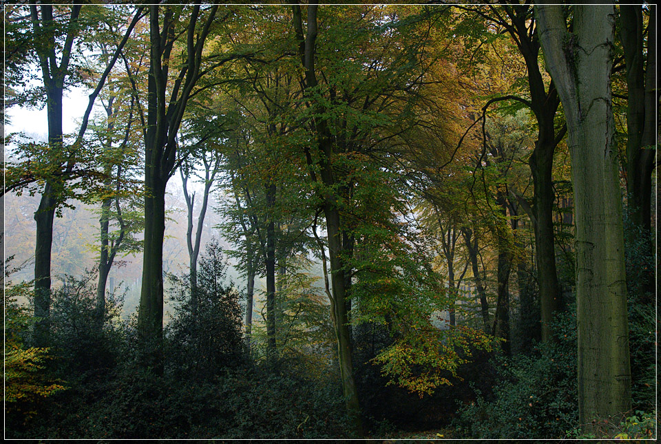 Morning Walk 3
