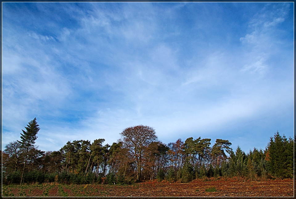 Colourful Clear Cutting