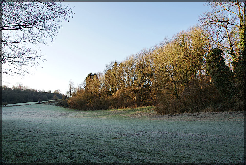 Cold Morning