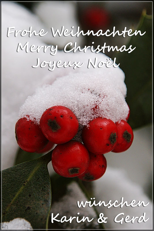 Merry Christmas!