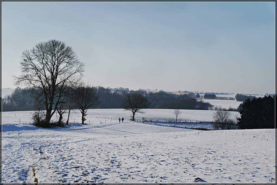 Winter Landscape