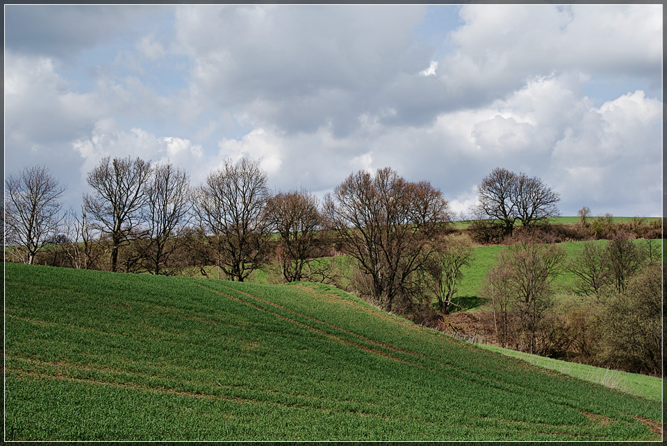 Spring Landscape
