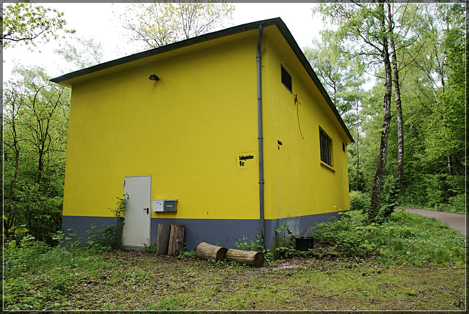Yellow House