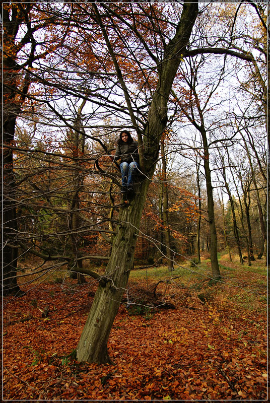 Tree Child