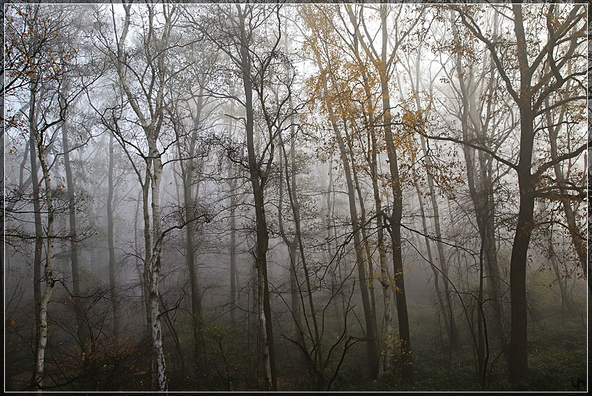 Foggy Weather 2