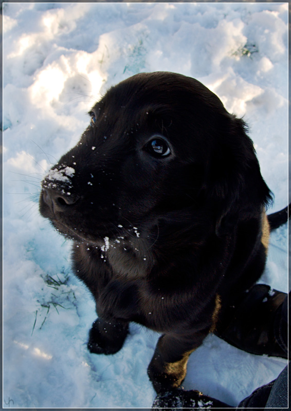 Katie in the Snow