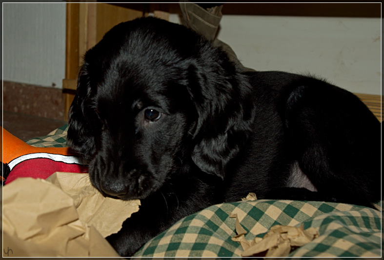 Katie chewing paper