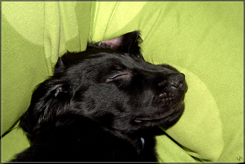 Katie on the Sofa