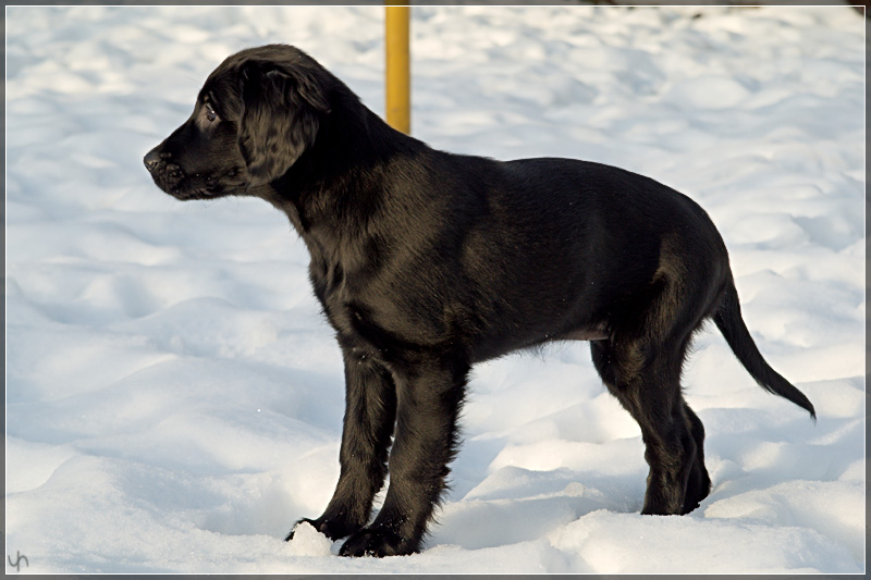 Katie Playing in the Snow 2
