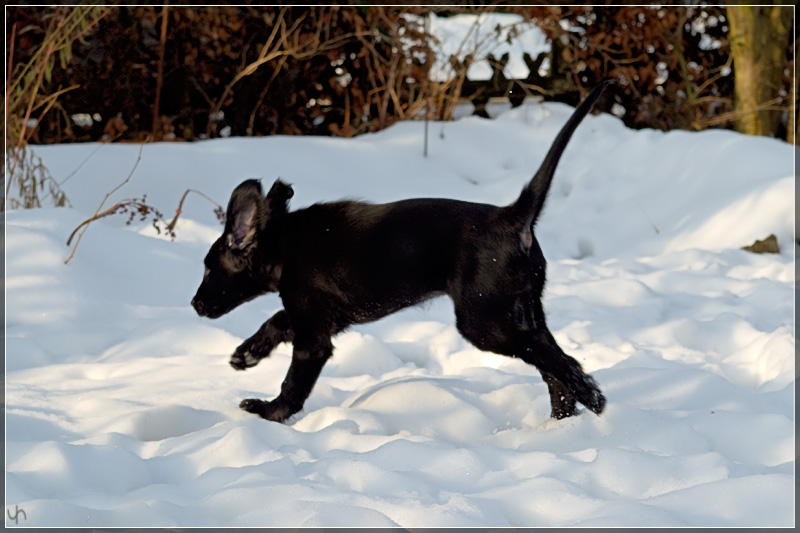 Katie Playing in the Snow 3