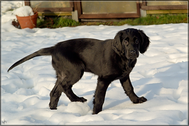 Katie Playing in the Snow 5