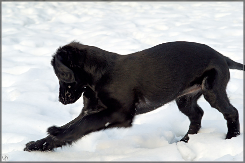 Katie Playing in the Snow 6