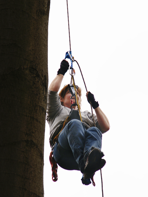 Tree Climbing